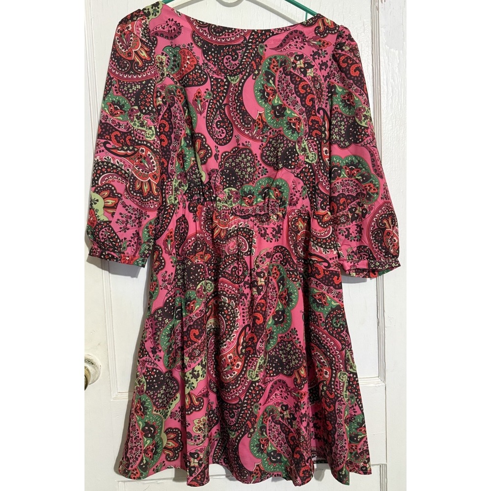 K0203-TheKorner Women's Size 6 Pink Paisley Print Long Sleeve Fit Flare Dress